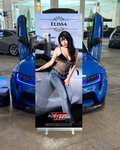 Rollup Banner